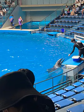 マクセル アクアパーク品川に投稿された画像（2023/9/7）