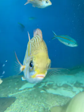 マクセル アクアパーク品川に投稿された画像（2023/9/7）