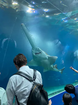 マクセル アクアパーク品川に投稿された画像（2023/9/7）