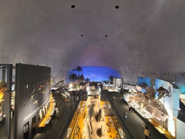 福井県立恐竜博物館に投稿された画像（2023/9/7）