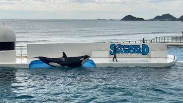 鴨川シーワールドに投稿された画像（2023/9/7）