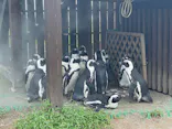 名古屋港水族館に投稿された画像（2023/9/7）