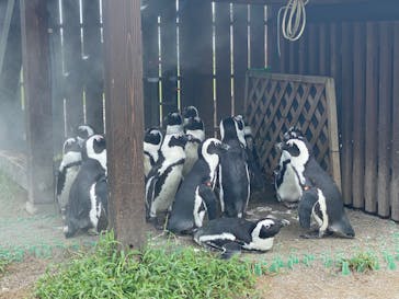 名古屋港水族館に投稿された画像（2023/9/7）