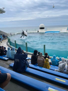 鴨川シーワールドに投稿された画像（2023/9/7）