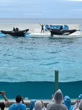 鴨川シーワールドに投稿された画像（2023/9/7）