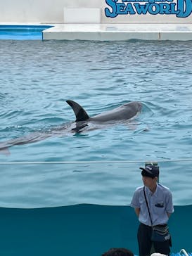 鴨川シーワールドに投稿された画像（2023/9/7）
