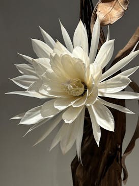 あべのハルカス美術館に投稿された画像（2023/9/7）