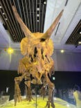 DinoScience 恐竜科学博 2023@TOKYO MIDTOWNに投稿された画像（2023/9/7）
