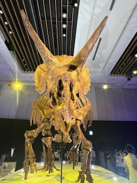 DinoScience 恐竜科学博 2023@TOKYO MIDTOWNに投稿された画像（2023/9/7）