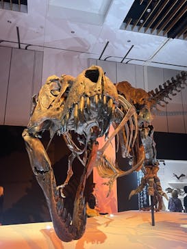 DinoScience 恐竜科学博 2023@TOKYO MIDTOWNに投稿された画像（2023/9/7）