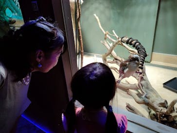 カワスイ 川崎⽔族館に投稿された画像（2023/9/7）