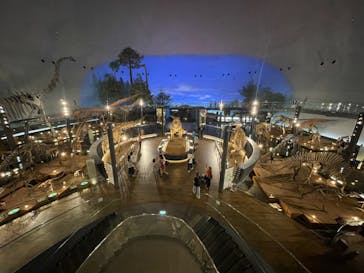 福井県立恐竜博物館に投稿された画像（2023/9/7）