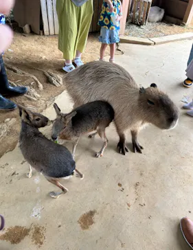 横浜・八景島シーパラダイスに投稿された画像（2023/9/7）