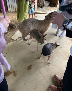横浜・八景島シーパラダイスに投稿された画像（2023/9/7）