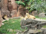 天王寺動物園に投稿された画像（2023/9/8）