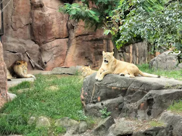 天王寺動物園に投稿された画像（2023/9/7）