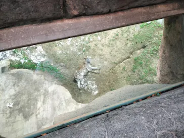 天王寺動物園に投稿された画像（2023/9/7）