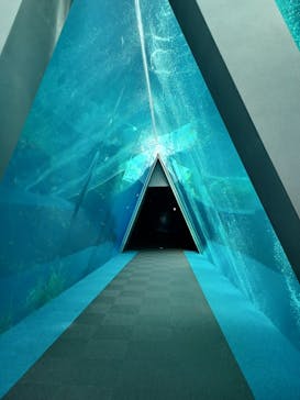 環境水族館アクアマリンふくしまに投稿された画像（2023/9/7）