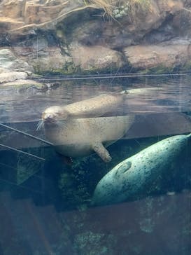 環境水族館アクアマリンふくしまに投稿された画像（2023/9/7）