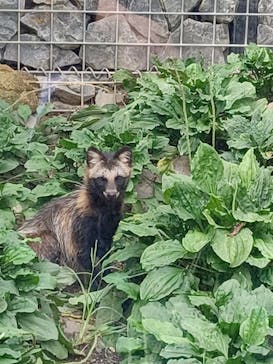 環境水族館アクアマリンふくしまに投稿された画像（2023/9/7）