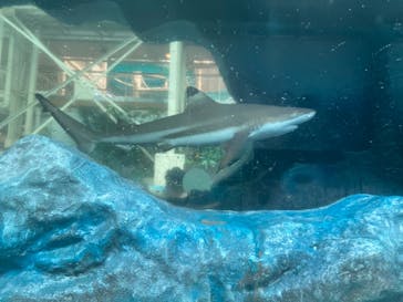 スパリゾートハワイアンズに投稿された画像（2023/9/7）