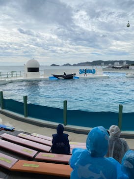 鴨川シーワールドに投稿された画像（2023/9/7）