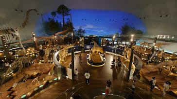 福井県立恐竜博物館に投稿された画像（2023/9/7）