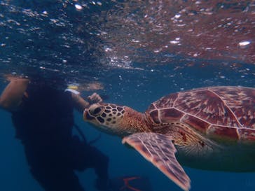 石垣島 ADVENTURE PiPi（イシガキジマアドベンチャーピピ）に投稿された画像（2023/9/7）