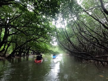 石垣島 ADVENTURE PiPi（イシガキジマアドベンチャーピピ）に投稿された画像（2023/9/7）