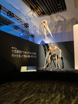 DinoScience 恐竜科学博 2023@TOKYO MIDTOWNに投稿された画像（2023/9/7）