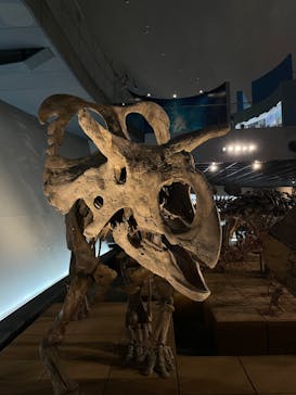 福井県立恐竜博物館に投稿された画像（2023/9/8）