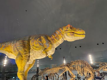 福井県立恐竜博物館に投稿された画像（2023/9/8）