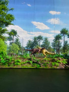 福井県立恐竜博物館に投稿された画像（2023/9/8）