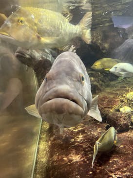 鴨川シーワールドに投稿された画像（2023/9/8）