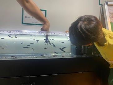 カワスイ 川崎⽔族館に投稿された画像（2023/9/8）