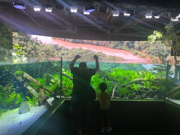 カワスイ 川崎⽔族館に投稿された画像（2023/9/8）