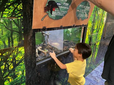 カワスイ 川崎⽔族館に投稿された画像（2023/9/8）