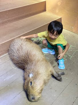 カワスイ 川崎⽔族館に投稿された画像（2023/9/8）
