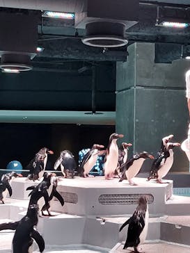 AOAO SAPPOROに投稿された画像（2023/9/8）