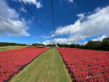 ひるがのピクニックガーデンに投稿された画像（2023/9/8）
