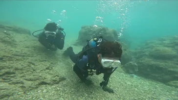 武藤潜水に投稿された画像（2023/9/8）