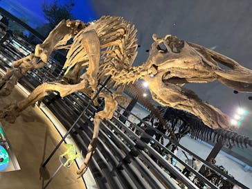福井県立恐竜博物館に投稿された画像（2023/9/8）