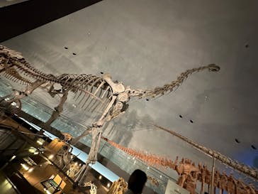 福井県立恐竜博物館に投稿された画像（2023/9/8）
