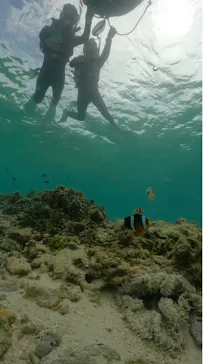 武藤潜水に投稿された画像（2023/9/8）