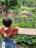天王寺動物園に投稿された画像（2023/9/8）