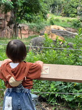 天王寺動物園に投稿された画像（2023/9/8）