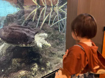 天王寺動物園に投稿された画像（2023/9/8）