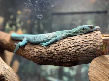 天王寺動物園に投稿された画像（2023/9/8）