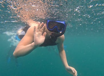 石垣島 ADVENTURE PiPi（イシガキジマアドベンチャーピピ）に投稿された画像（2023/9/8）