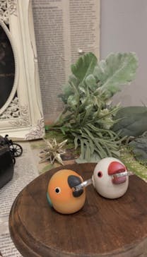 BijouxOpera 三宮Jewelry lab.（ビジュオペラ　三宮ジュエリーラボ）に投稿された画像（2023/9/8）